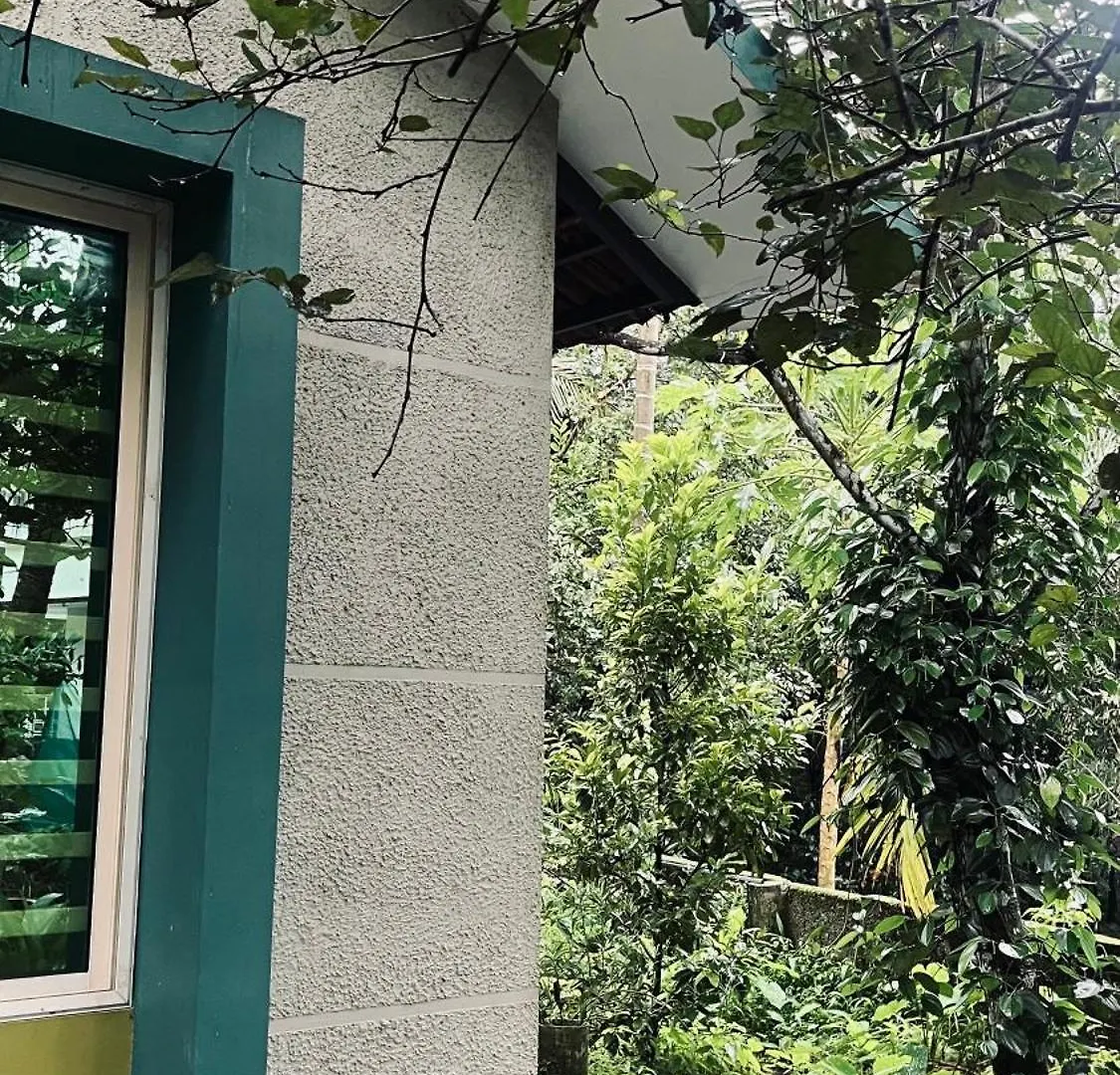 Catsclaw Inn 2 Thalayolaparambu