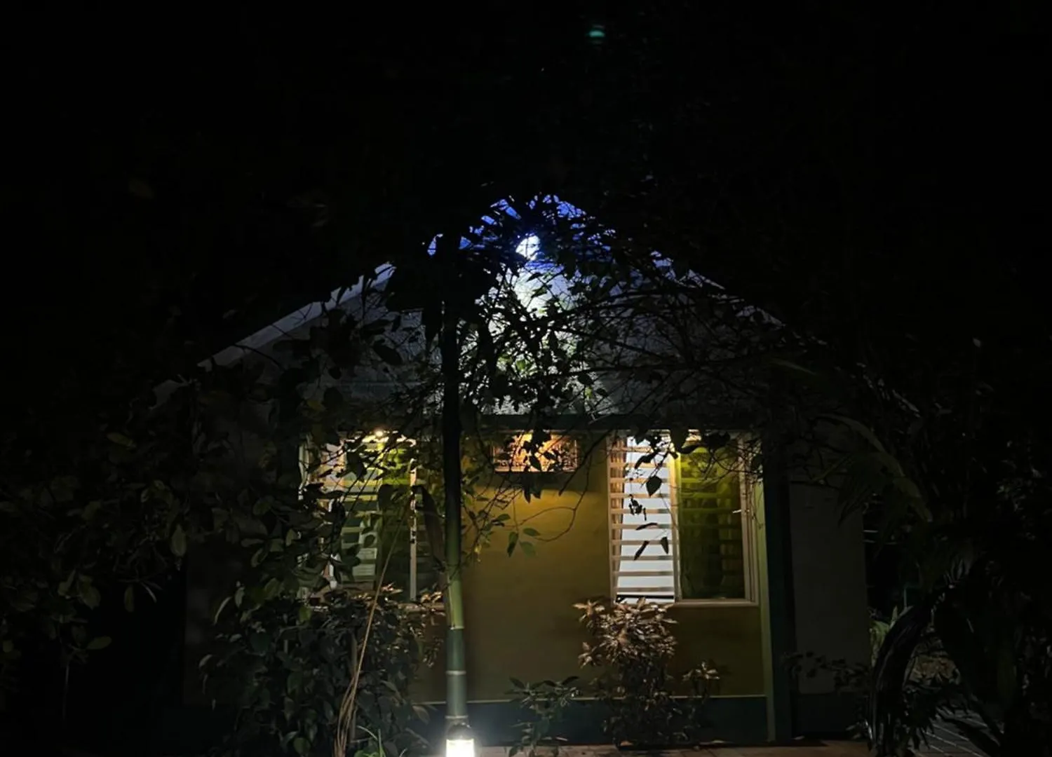 Catsclaw Inn 2 Thalayolaparambu India