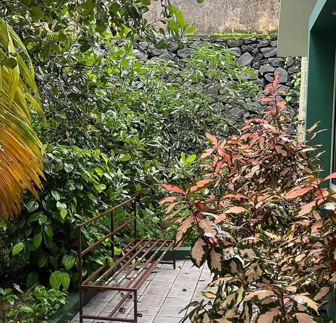 Resort Catsclaw Inn 2 Thalayolaparambu India