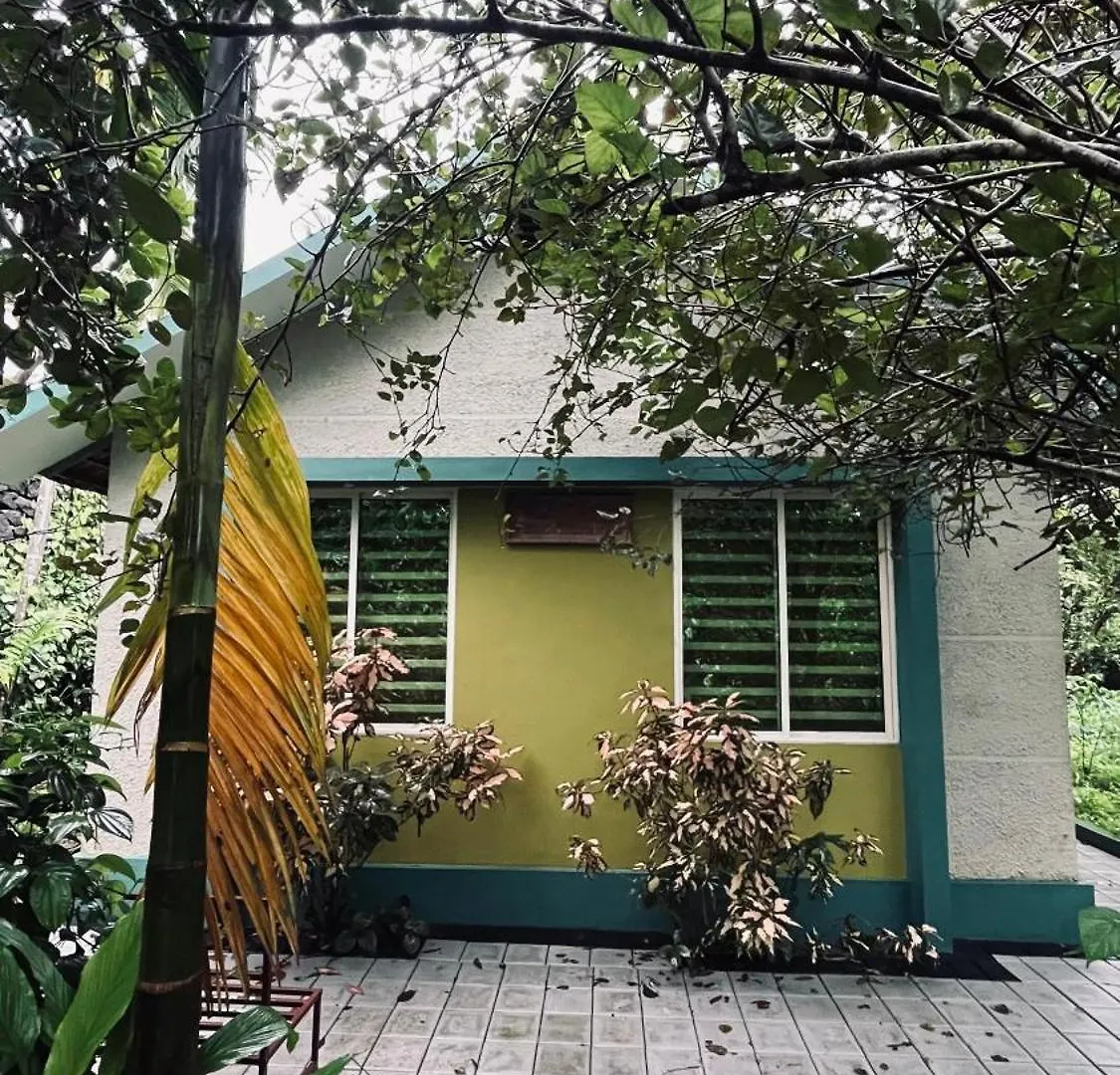 Catsclaw Inn 2 Thalayolaparambu